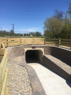 New AB Wall Tunnel