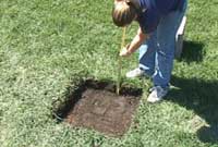 Remove Sod and Dig to Correct Depth