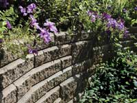 Top course of retaining wall planted