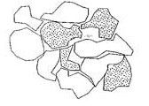 Sandy Soils