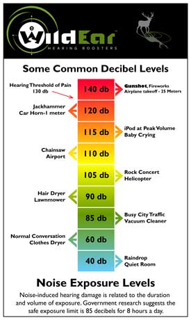 Decible level chart