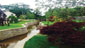Allan Block River Walls
