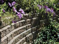 Top retaining wall with plants