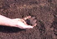 Organic Soils